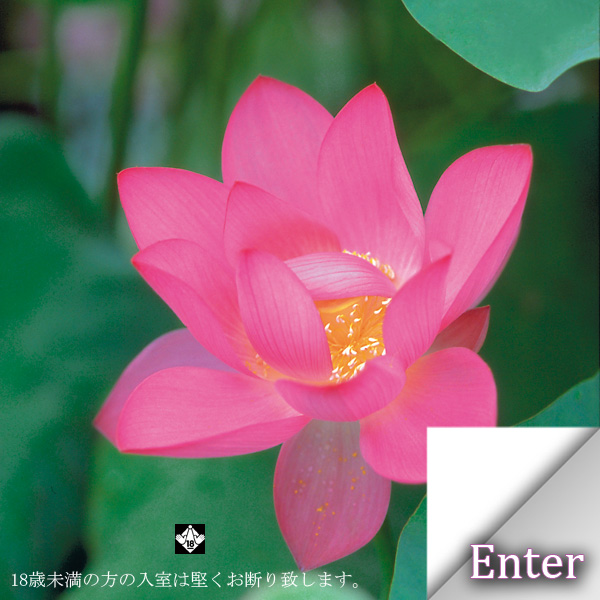 吉原最高級店ソープランドなら粋蓮